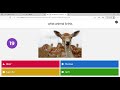 WHAT ANIMAL IS THAT (kahoot part 1)