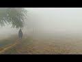 Foggy morning 🌞 | Village morning 😊✨