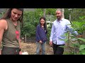 PERMACULTURE CHICKEN-COMPOSTING System — Ep 014