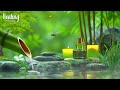 Relaxing Music 24/7, Stress Relief Music, Sleep Music, Meditation Music, Study, Calming Music #2