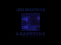 Grapevine - [OFFICIAL AUDIO] - Fortune 5