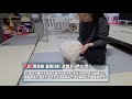 강아지가 주인을 사랑할 때 하는 행동 What dogs do when they love their owners