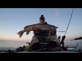 How to Troll for Northern Pike! FisherMN Style!