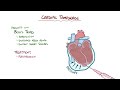 Cardiac tamponade - causes, symptoms, diagnosis, treatment, pathology