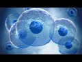 Cells healing - Heal from illnesses - Guided meditation