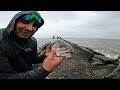Fishing EXTREMELY WINDY Conditions (BIG TROUT)
