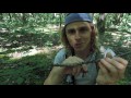 Early Summer Mushroom Hunting — Oddities & Overlooked Fungi