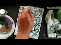 Step by Step EASY ACRYLIC PAINTING For beginners