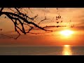 Sunset Image Video || Dusk Till Dawn - zayn, Sia (edited version)