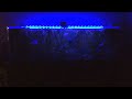 Current LED Satellite Plus x2 Lightning effect over 100g planted tank