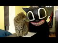 Cartoon cat in real life 3 - The Halloween Tale- Rory the cat