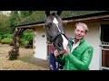 HORSE & HOUND 2020 SEIB HORSE OF THE DECADE - Valegro