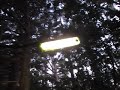 Abandoned street light in woods