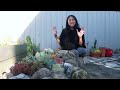 🌵 Planty Chores, Plant Mail Unboxing & Revamping My First Cactus & Succulent Garden Bed