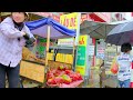 Harvesting Red Ripe Papaya Going To Market Sell - Cooking, Garden, Farm | Duong Harvest