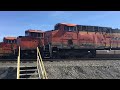 Afternoon Seattle Railfanning with BNSF Trains (ft. MRL 4319 and FXE 4057)