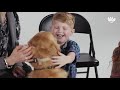 Kids Meet a Guide Dog for the Blind | Kids Meet | HiHo