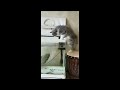 Funny Dogs and cats videos 😆 😂| Funny cats