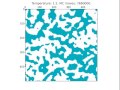 Monte Carlo simulation of 2D Ising model