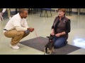 Prison inmates care for shelter dogs