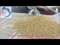 household manual animal feed pellet machine/hand poultry fish feed extruder machine