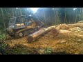 tarikan terakhir yg merepotkan#buldozer #hutan #kayu #kalimantan@dadiedandel1353