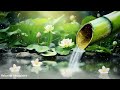 🍀4 Hours Relaxing Piano Music 🎹 Healing music for the Heart and Blood vessels, Music for Soul♬