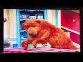 Bear in the Big Blue House-In the Middle of the Winter☃️❄️❄️🌨️