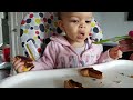 Baby tries AVOCADO and Grilled Cheese - TASTE TEST!