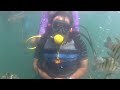 scuba diving| rohan | tarkarli