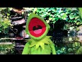 Special HAPPY BIRTHDAY song from Kermit the frog!!!