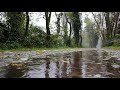 1 Hour Ambient Study Music with Rain - Deep Focus Music for Studying