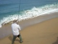 BIGGEST ROOSTERFISH EVER CAUGHT FROM SHORE
