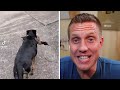 Funny Dog Time Warp Scan on TikTok!