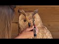 Chainsaw Carving an Owl. Step-by-step