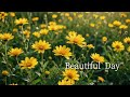 Music to fill your time with peaceful moments 편안하게 당신의 시간을 채워주는 음악