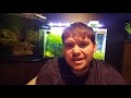 FAST Freshwater Fish Tank Instant Cycle  | 3 BEST Methods for an Aquarium Cycle