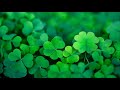 Happy Irish Music – Saint Patrick's Day | Celtic, Cheerful ☘️