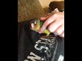 Kiko The Yellow Sided Green Cheek Conure Loves To Be Scratc