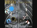 Nirvana vs. Michael Jackson- Smells Like Billie Jean (DJ Pancho Pantera remix)