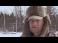 Hunting Montana Buffalo with Randy Newberg - Free Range Bison (FT S1 E9)