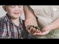 Bugs | HiHo Petting Zoo | HiHo Kids
