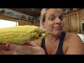 Harvesting Sweet Corn // How to Freeze Sweet Corn