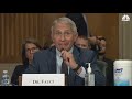 Dr. Anthony Fauci to Sen. Rand Paul at hearing: You do not know what you're talking about
