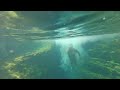 1 MILE DEEP Swimming Hole in TEXAS | JACOB'S WELL | Wimberley Swimming Hole Series Ep. 3