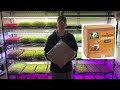 Full Tour of our Backyard Microgreens Farm - October 2023 Update - Renegade Acre Complete Setup