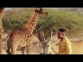 Jay Melody - Nitasema OFFICIAL VIDEO Extended [Dj KingDee 254]