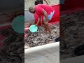 How to sort fish