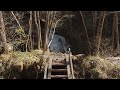 【中山道の桜】馬籠から妻籠への道のり :【Samurai Trail】Walking the Nakasendo from Magome to Tsumago（Gifu-Nagano, Japan）