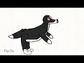 animation of my dog jumping